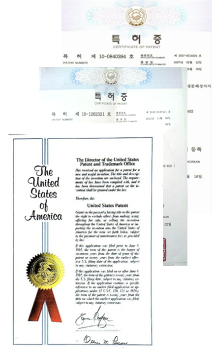 Patent